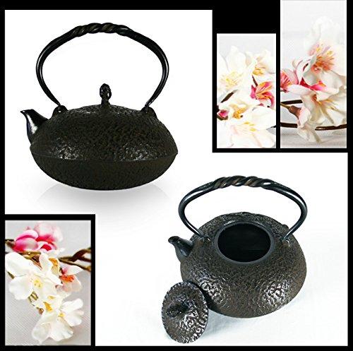 Made In Japan Nanbu Ironware Nanbu Iron Kettle IH Fire Compatible Kettle Kettle Compatible/Open "Hiramaru Matsu" 1.6L