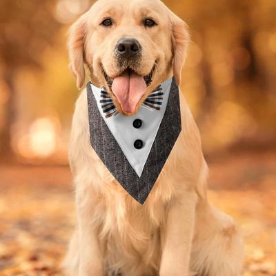 Bekleidung & Schuhe – Hundezubehör