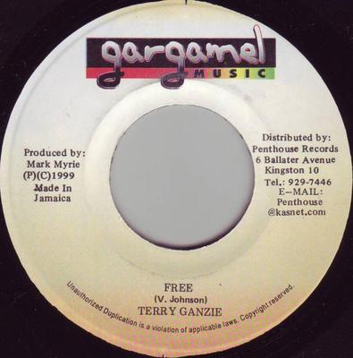 7inch Record TERRY GANZIE - Free NONE Gargamel Music 1999 Jamaica Reggae, Ska & Dub Used