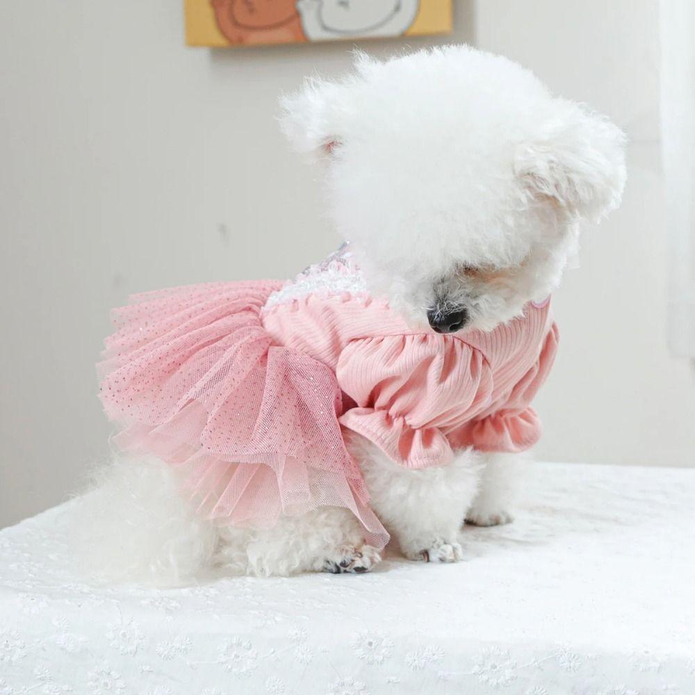 Pretty Dog Lace Skirt Princess Style Summer Dog Clothes Stylish Puppy Wedding Skirt  Dog Clothes