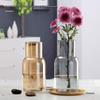 Transparent Minimalist Glass Vase for Office Decoration with Fresh or Dried Flowers