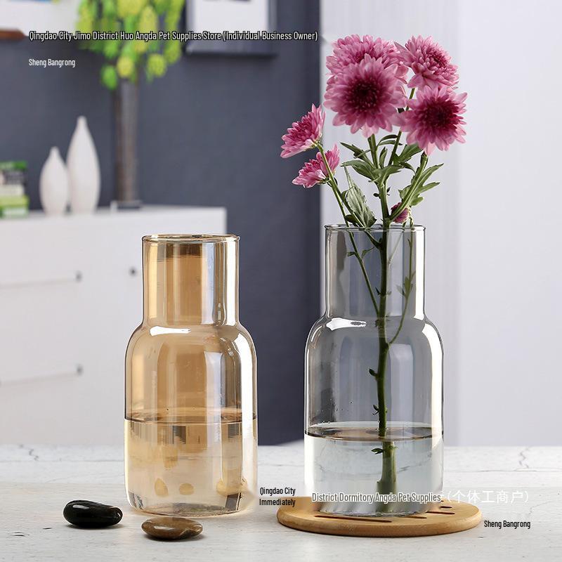 Transparent Minimalist Glass Vase for Office Decoration with Fresh or Dried Flowers