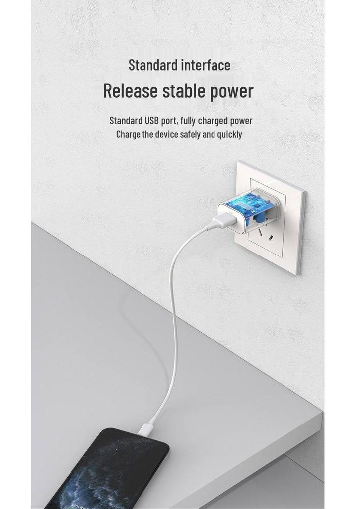 PISEN Dual-Port USB Charger, Fast Charging for Apple, Android, and Tablets.