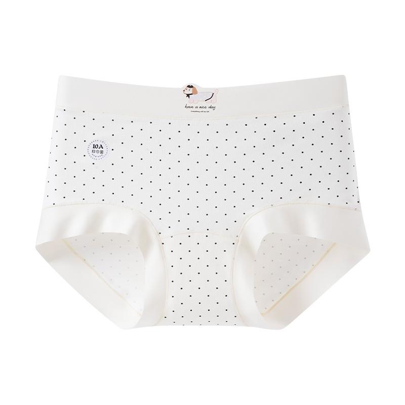 Plus Size Girls  Summer Cute Pet Dachshund Extended Crotch Briefs XL