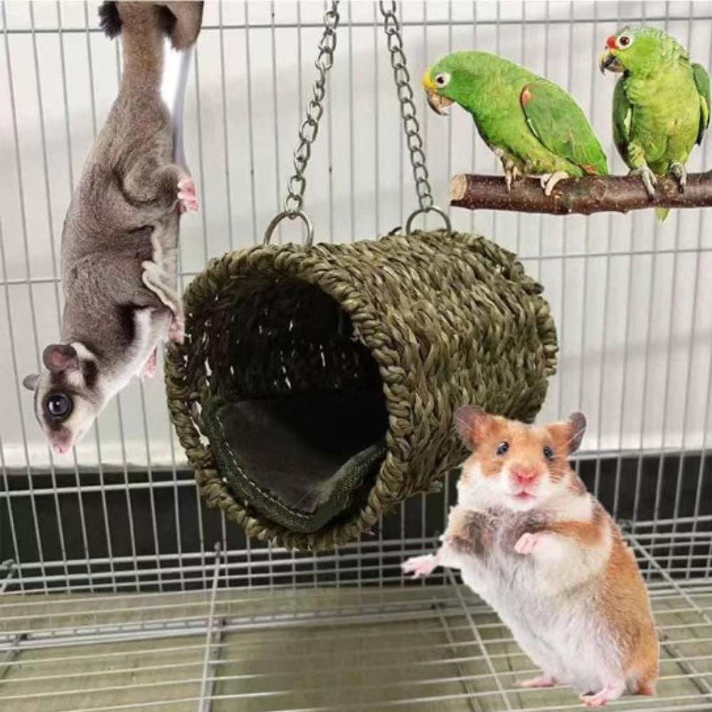 

Устойчивость к укусам, кровать, травяной туннель, гамак, износостойкий подвесной орнамент в виде клетки для попугая для домашних животных