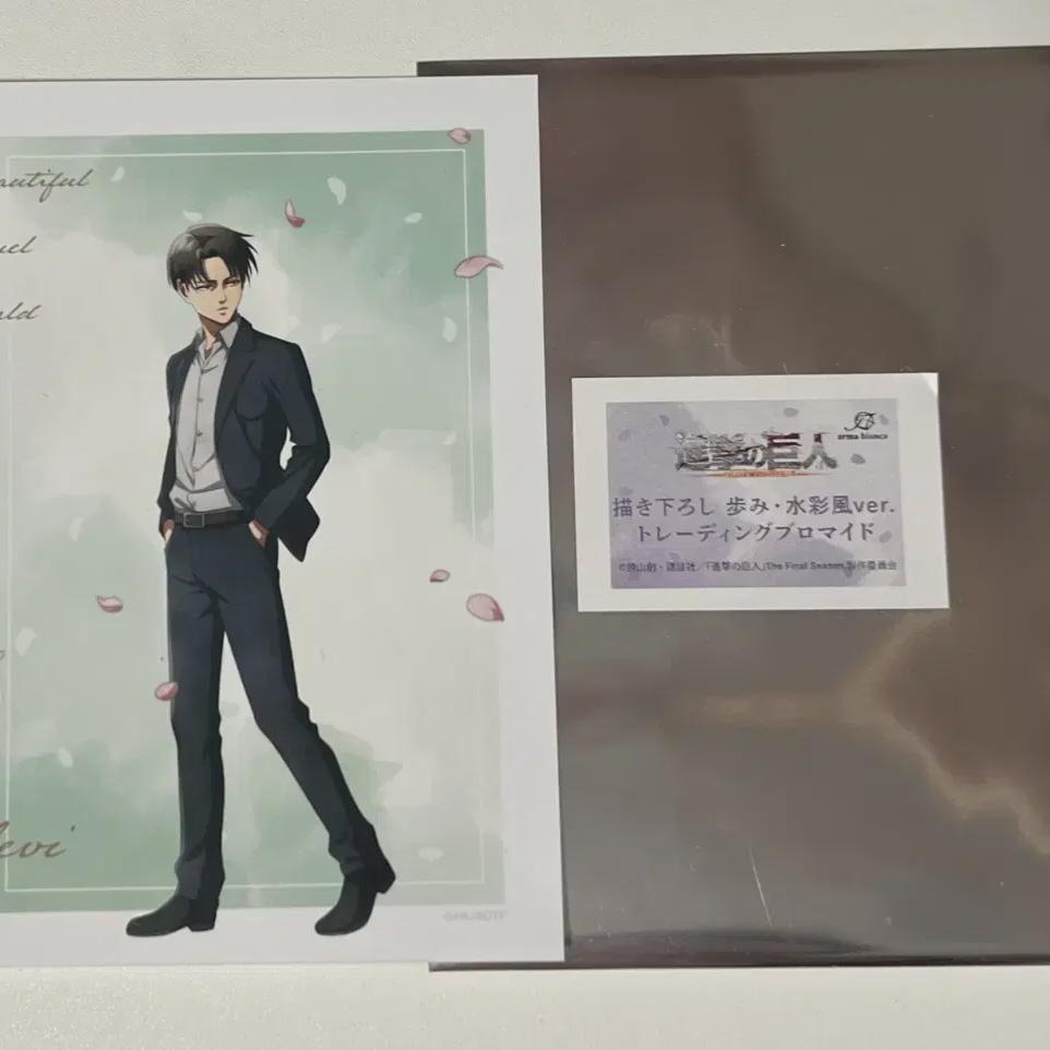 

Attack On Titan Levi Bromide Postcard