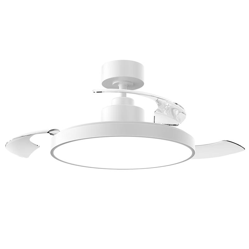 Smart Full Spectrum Eye-Care Ceiling Fan with LED Light Premium Service Package