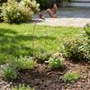 Rostige Metalltextur Kolibri Gartenspieß Metall Garten Metall Bodeneinsätze Hinterhof Akzent