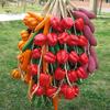 Home Decor Artificial Fruit Foam Vegetable Corn Pepper Garlic Hanging Photo Prop
