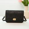 Trend embossed lock single shoulder crossbody small square bag versatile mobile phone change women's bag