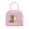 Funny 3D Cats Portable Lunch Bag Durable Office Women Men Thermal Box Cartoon Lunch Handbags Cooler Insulated Food Lunch Bags