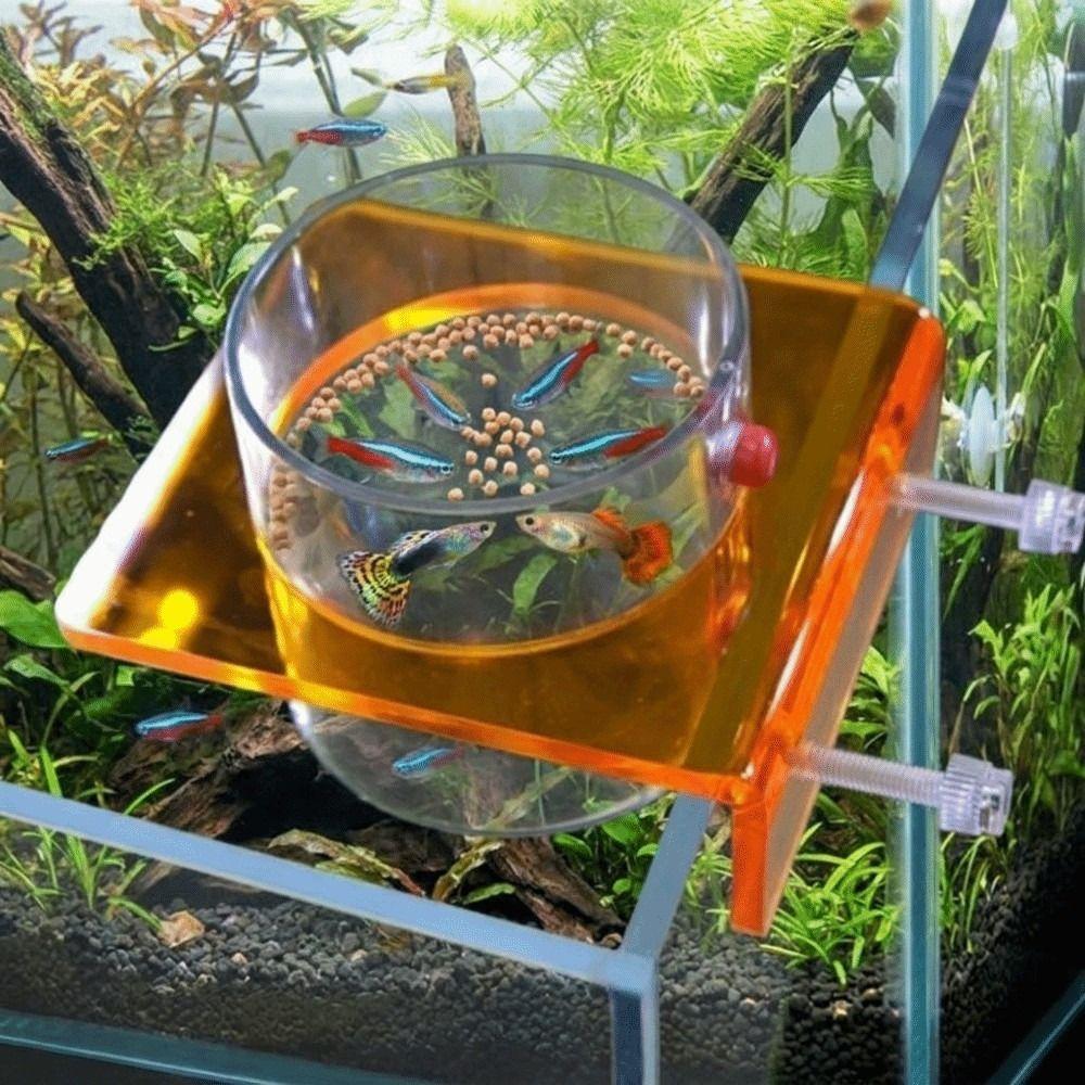 Plastic Fish Tank Feeder Fixed Point Feeding Feed Holder Saltwater Marine Tank