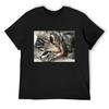 Maine Coon Kitten T-Shirt Vintage Clothes Oversizeds Summer Clothes Cheap Stuff Tshirts for Men