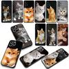 Cat Meow Phone Cover Case for Xiaomi Redmi Note 14 12 13 ProPlus A4 A3 Pro Plus 12C 13C 14C 5G Casing