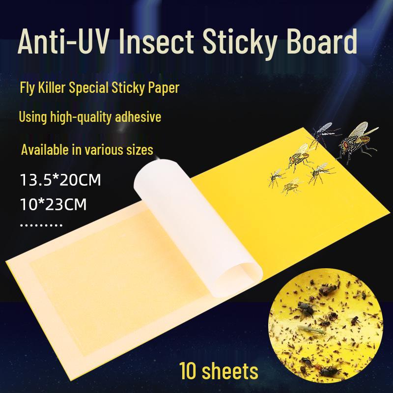 Sticky Fly Trap Paper MT-599: Dedicated Fly Killer Price for a Single Sheet