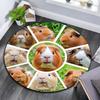 Meerschweinchen Runder Teppich, Teppich für Wohnzimmer Schlafzimmer Sofa Spielzimmer Dekoration, Rutschfeste Fußmatte