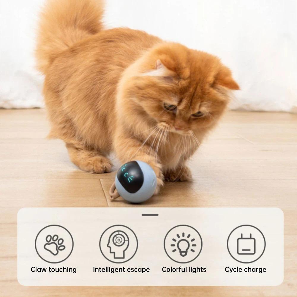 Automatic Interactive Cat Ball Toy-usb Rechargeable Self-rotating Exercise Toy With Smart Modes For Indoor Cats Dogs