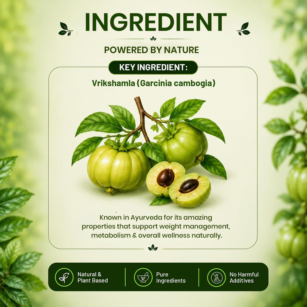 Pure Nutrition Vrikshamla Tabletten | Vrikshamla Garcinia Cambogia Kräuterergänzung zur Gewichtsregulierung & Stoffwechselunterstützung | Ayurvedische Formel