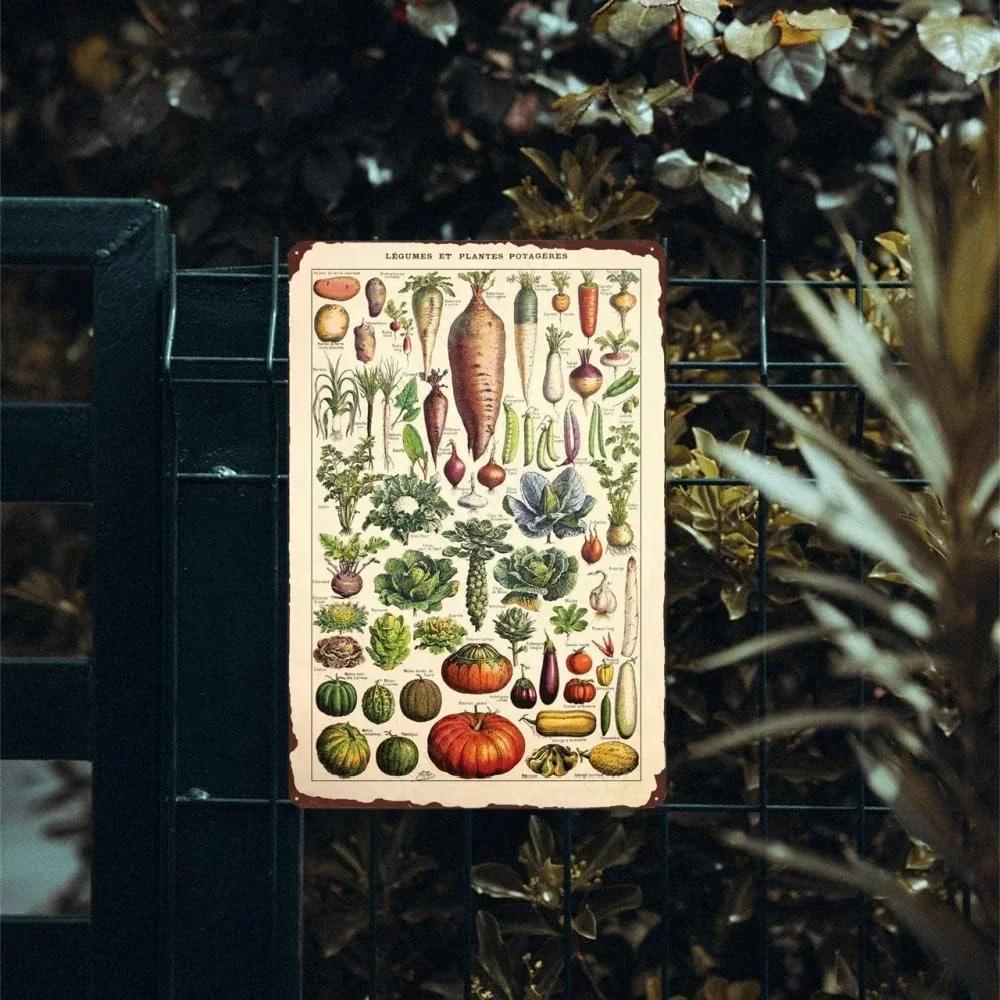 Retro Vegetable Plants Poster Vintage Fruits Metal Tin Sign Cauliflower Wall Art Sign Garden Kitchen Farm Flowers Plate Decor