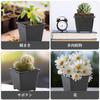 Kasanidika Seedling Set of X for Succulents and Houseplants Slits To Prevent Root Durable PP Indoor Gardening Pots, 40, 8.8cm 8cm, - Rot, Plastic,