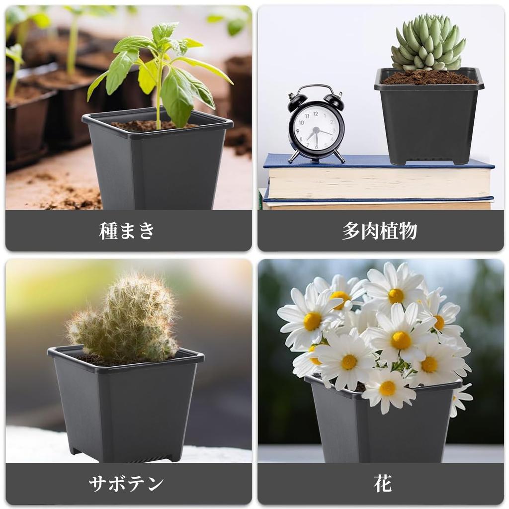 Kasanidika Seedling Set of X for Succulents and Houseplants Slits To Prevent Root Durable PP Indoor Gardening Pots, 40, 8.8cm 8cm, - Rot, Plastic,