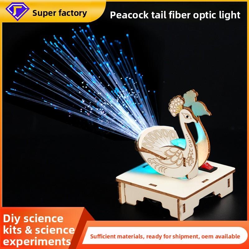 Childrens Peacock Display Science Experiment Kit With Diy Electric Toy For Learning And Creativity