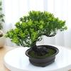 Simulation Bonsai Pine Tree Artificial Plastic Guest Welcoming Tree Realistic Home Decoration Photo Prop Greenery