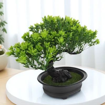 Simulation Bonsai Pine Tree Artificial Plastic Guest Welcoming Tree Realistic Home Decoration Photo Prop Greenery