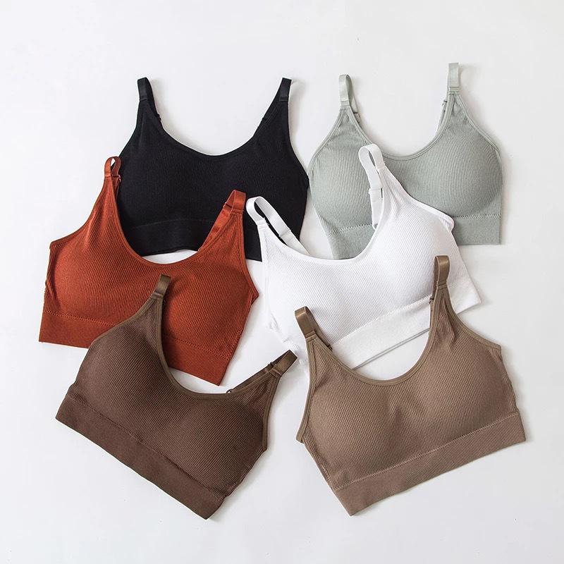 Underwear Women Gather No Steel Ring Tank Tops Bra Tube Top Wrapped Chest Beauty Back Actival Cotton Thin Section Lingerie