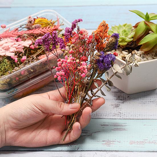 Artă populară Floare uscată Moale Vii Estetică