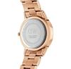 Часы DANIEL WELLINGTON ICONIC LINK WHITE DW00100213