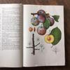 [USED] Foreign books, Czech botanical encyclopedias, vintage books, botanical art