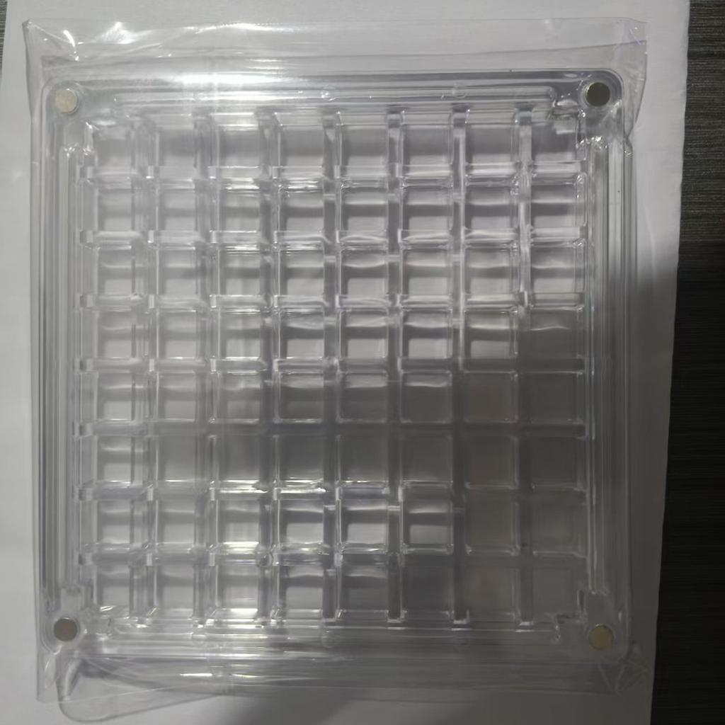 Natural Mini Conch, Shell Starfish, High Transparency Acrylic Storage Box, Material Box, Micro Shell Sand Specimen, Seaside Gift