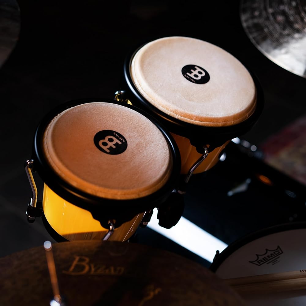 MEINL Percussion Bongos, Journey Series, Buffalo Head, Illuminating Yellow, HB50IY (Official Japanese Product)
