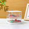 Korean Transparent Rotating Jewelry Storage Box for Hair Accessories, Earrings, Watches, and More