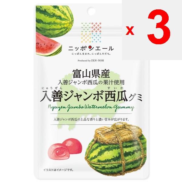 JA Nippon Ale Toyama Irizen Jumbo Watermelon Gummies 40gNippon Ale Brand with the Catchphrase Nippo Nippon Ale Brand with the Catchphrase Nippon-born,