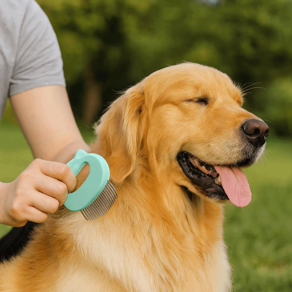 Cat Ear Shape Pet Hair Removal Brush Fine Soft Brush Cat Grooming Comb For Long Short Hair