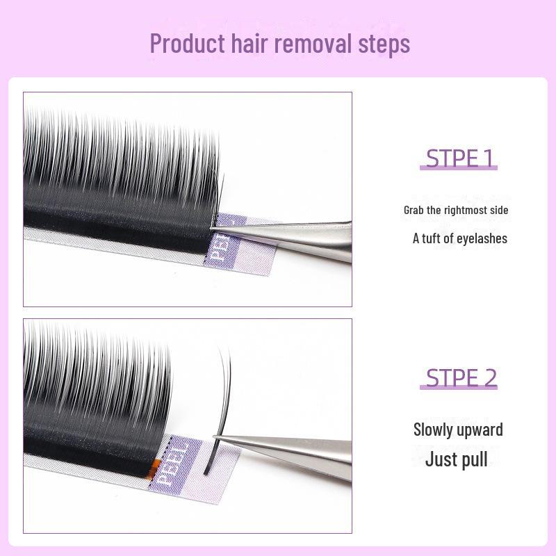 0.07 Gene altoite cu desene animate Camellia: Gene false thailandeze moi, cu o singură rădăcină, ondulate în stil chinezesc.