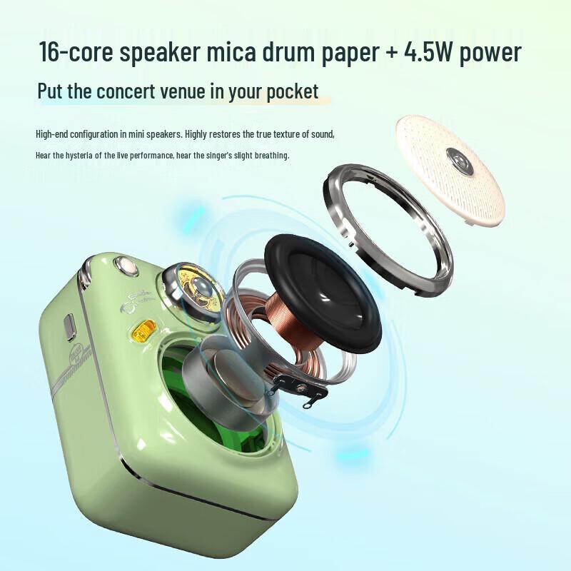 DianYin Beetle 2 Retro Portable Bluetooth Speaker