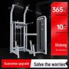 Shengming Commercial Assisted Dip and Pull-up Station