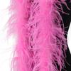 1 2 3 4 6 Natural ostrich feathers 2 meters ostrich feather scarf decorate carnival dress clothing feathers draped in shawl crafts