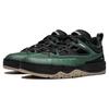 Li Ning CF Tracing Collection Y3 SS Antidérapant Amorti Bas Skateboard Chaussures Homme Noir Vert AGLU063-2