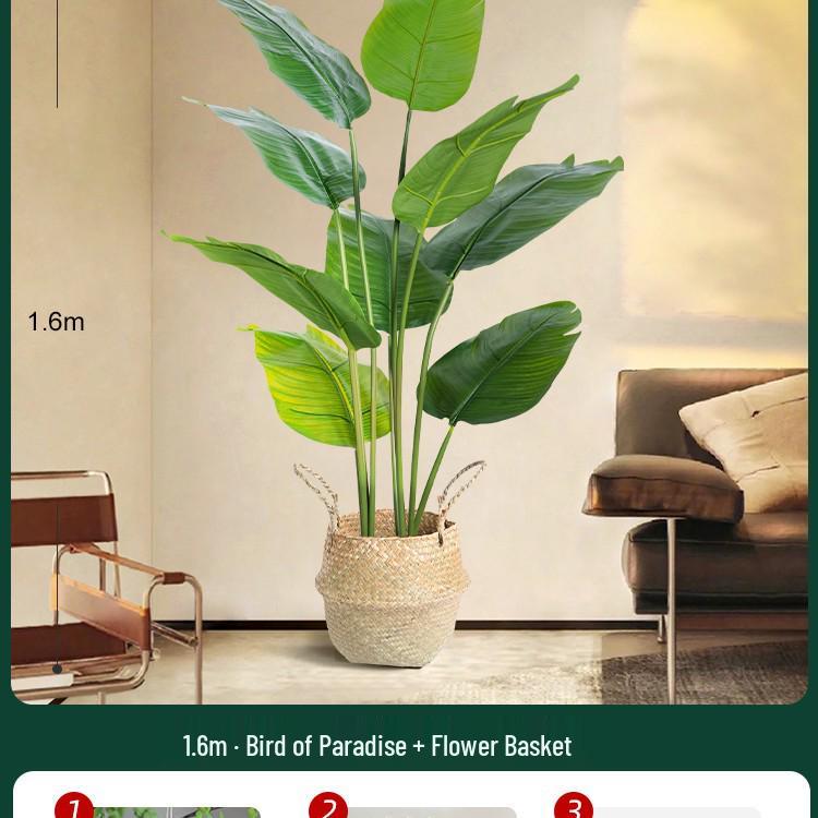 High-End Indoor Bird of Paradise Decor: Luxury Potted Traveler's Palm