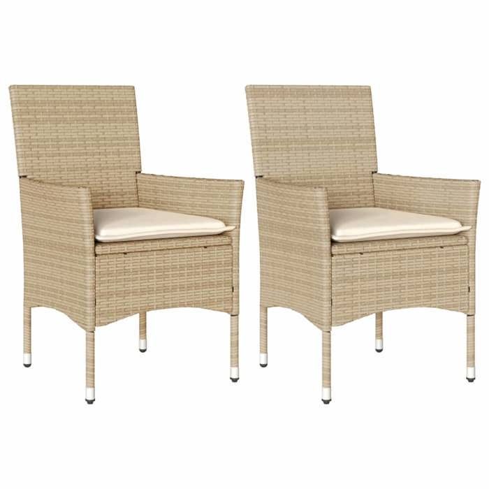 VidaXL Set of 2 Garden Chairs with Cushions, Seats with Armrests, Armchairs with Backrest, Patio Furniture, 368113