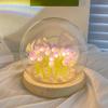 Glass DIY Tulips Night Light Romantic And Exquisite Decoration For Bedroom Mini Tulips Flower Light