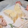 Bakeware Butterfly Shaped Cake Mold 3D Dessert Mould Baking Tool Mousse Mold  Kitchen