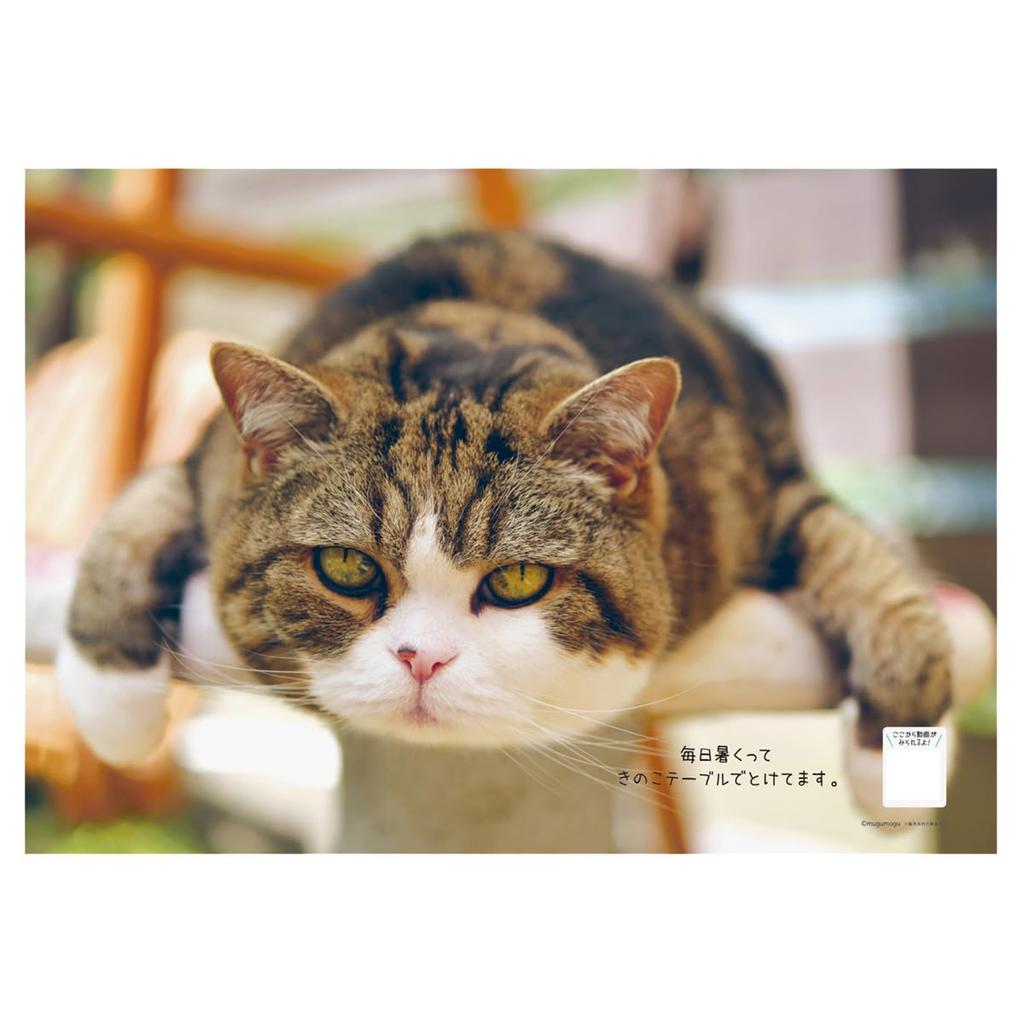 2025 Maruchan Calendar No.041