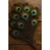 15 Pcs Real Peacock Feather Original Feathers morpankh for Craft Floral Flowers