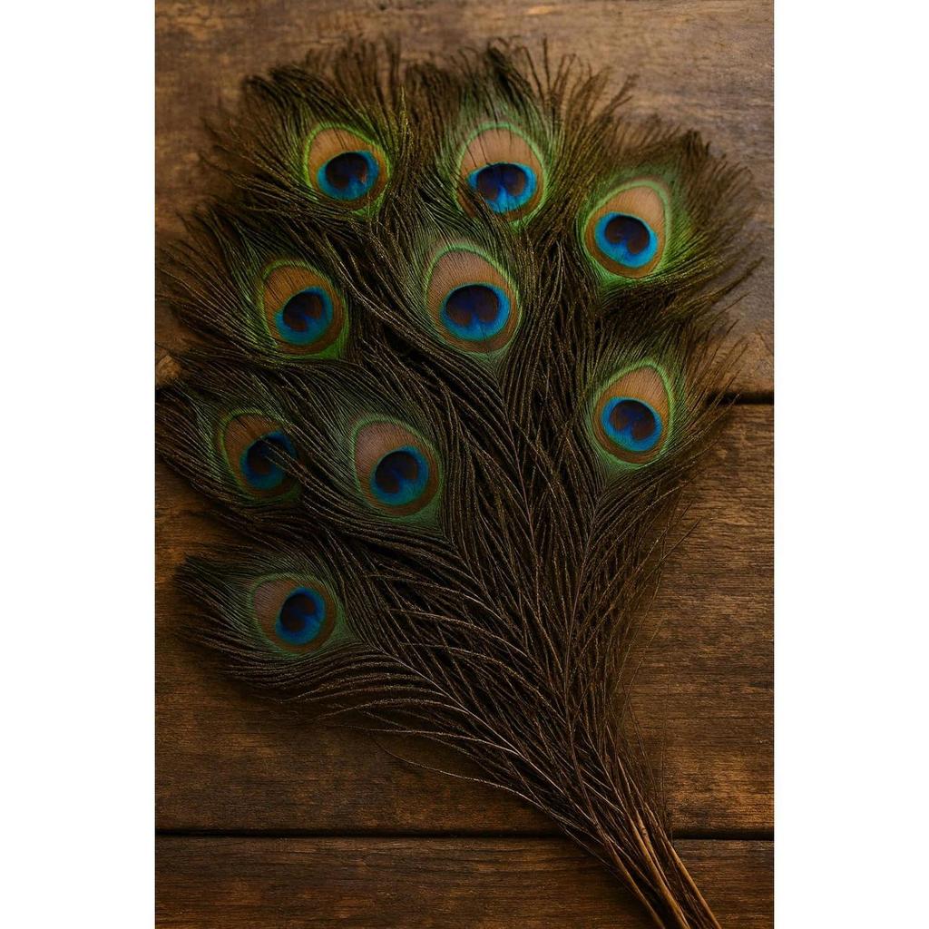 15 Pcs Real Peacock Feather Original Feathers morpankh for Craft Floral Flowers