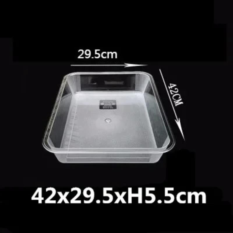 Acrylic Plastic Serving Trays Transparent Rectangular Serving Fruit Vegatable Food Tray Dishes Dinner Set Square Plates Dishes